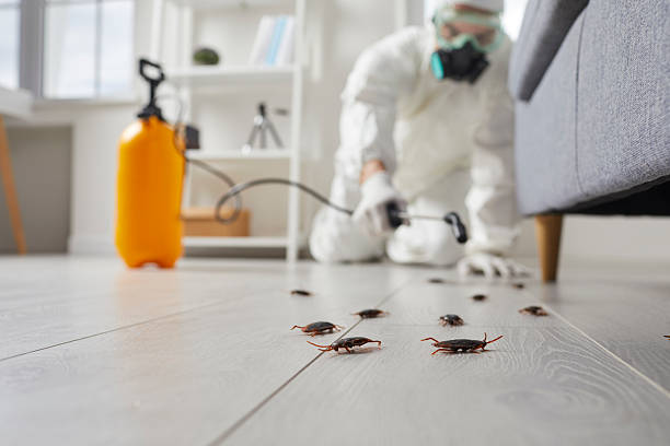 Commercial Kitchen Cockroach Control in Wyldwood